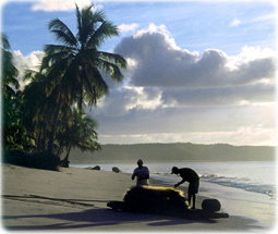 Praia Alagoas